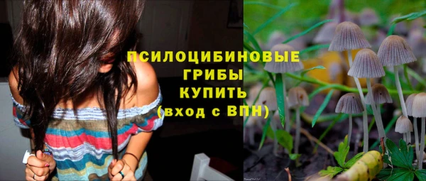 прущая мука Алзамай