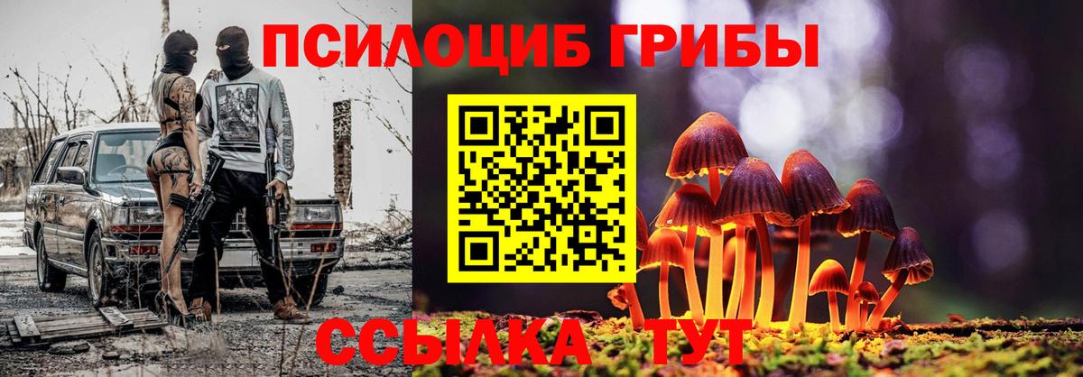 Галлюциногенные грибы Cubensis Волжский