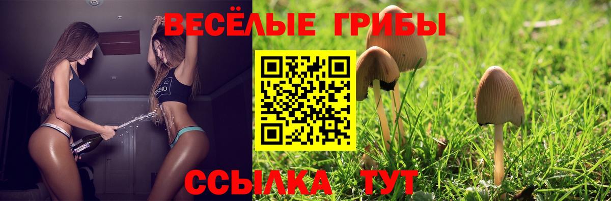 Волжский  Псилоцибиновые грибы мицелий  Вход с VPN 